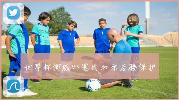 世界杯挪威vs塞内加尔后腰保护