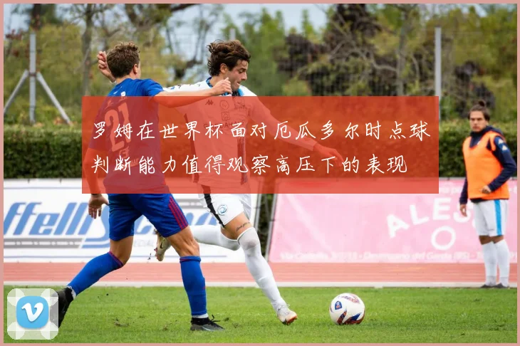 罗姆在世界杯面对厄瓜多尔时点球判断能力值得观察高压下的表现