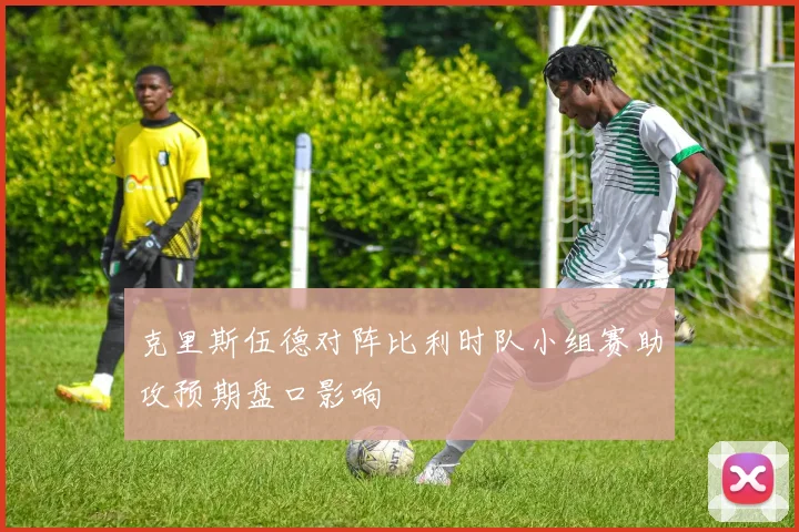 克里斯伍德对阵比利时队小组赛助攻预期盘口影响