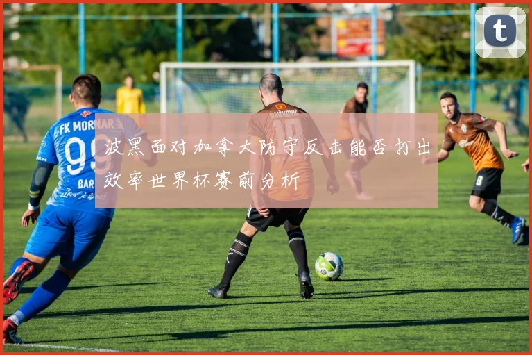 波黑面对加拿大防守反击能否打出效率世界杯赛前分析