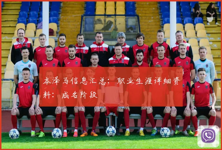 本泽马信息汇总：职业生涯详细资料：成名阶段